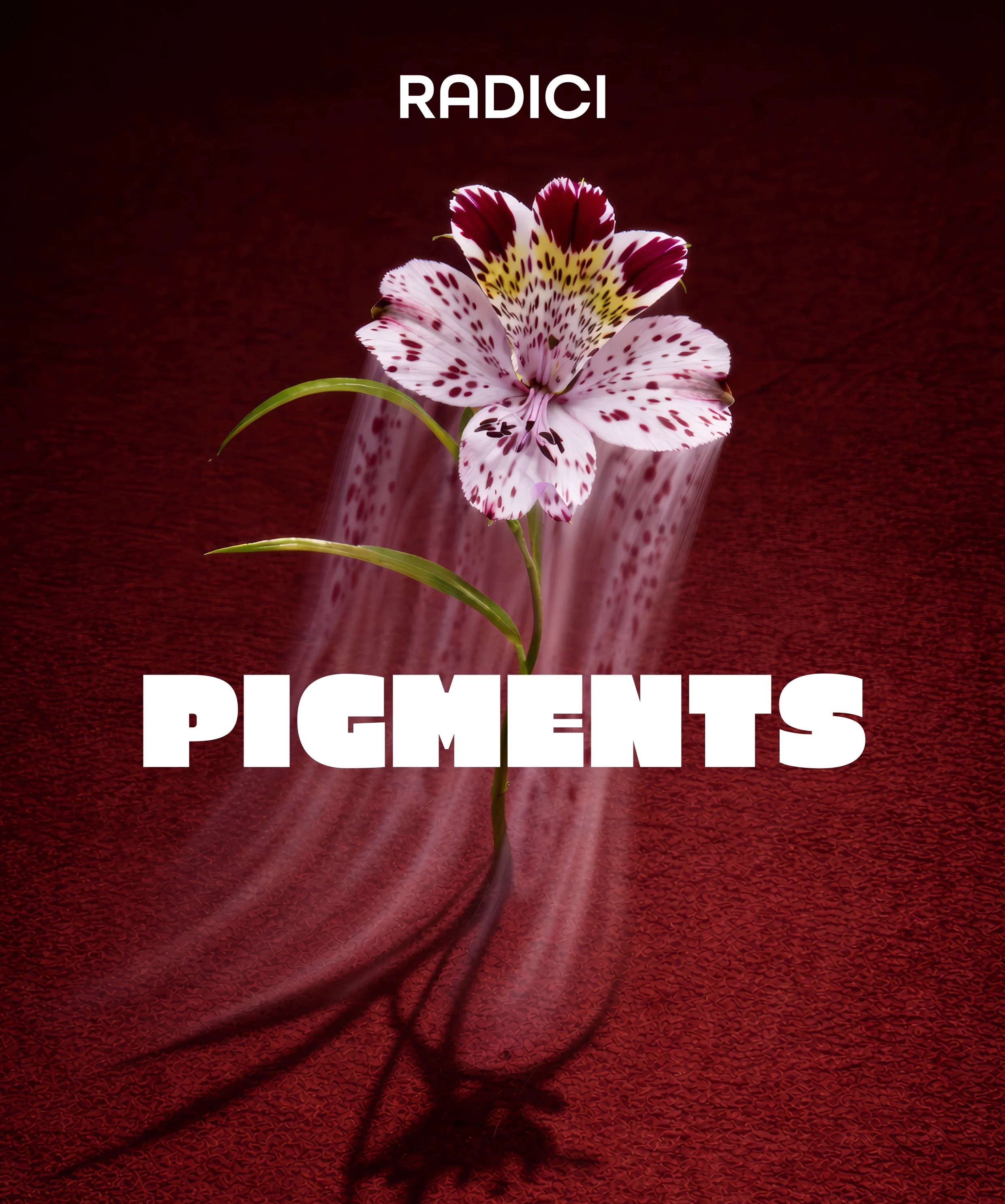 Copertina_Pigments
